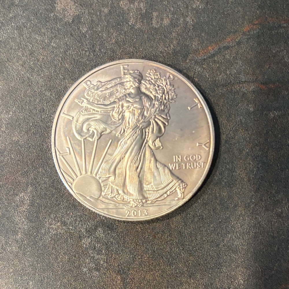2013 Silver Coin